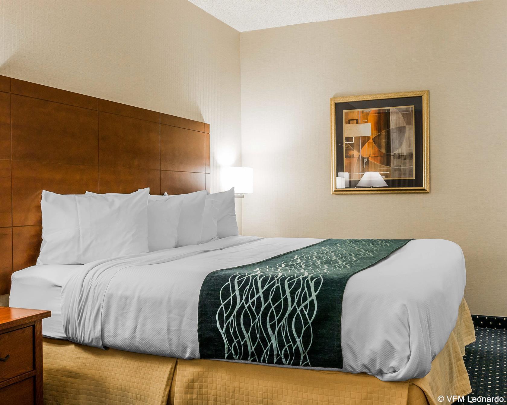 Quality Inn Auburn Hills - Detroit North Ngoại thất bức ảnh